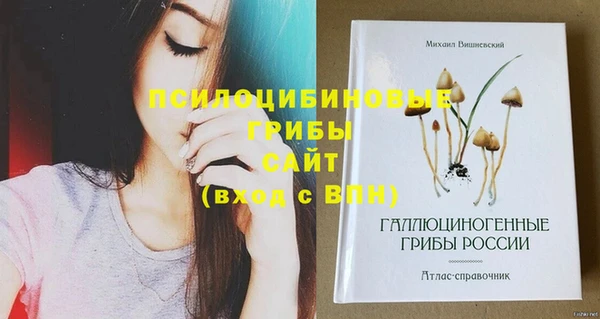 PSILOCYBIN Алексин