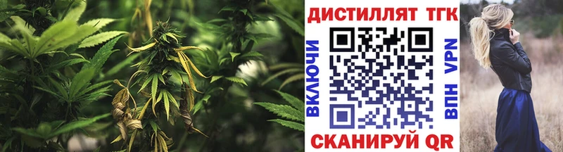 как найти   Новоаннинский  ТГК THC oil 
