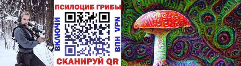 купить наркоту  Новоаннинский  Псилоцибиновые грибы Psilocybe 